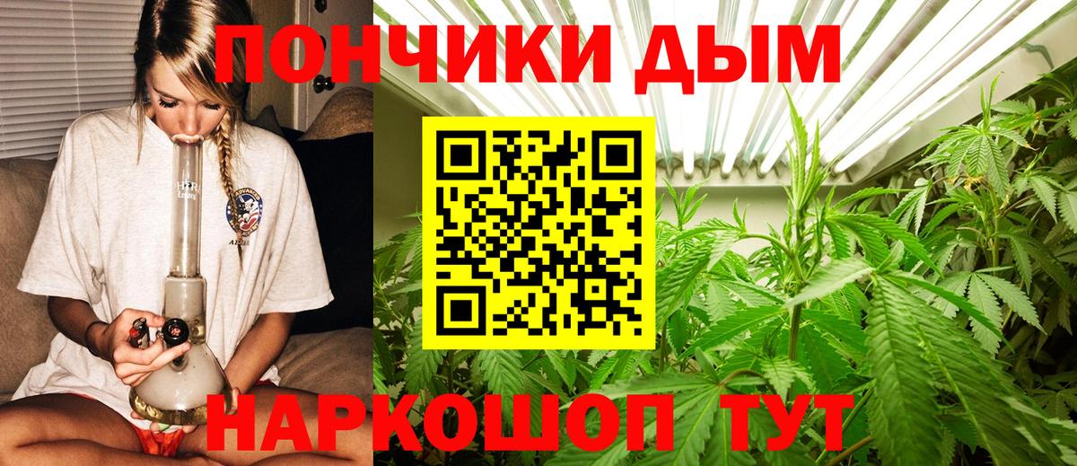 Конопля план  Вход с VPN  Алушта  Бошки марихуана планчик  Шишки марихуана конопля  Бошки марихуана сатива 